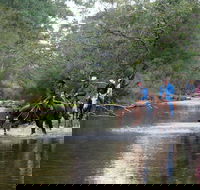 The Man From Snowy River Bush Festival - Lismore Accommodation