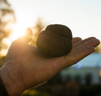 The Truffle Festival - Canberra Region - Lismore Accommodation