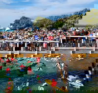 The Crescent Head Santa Surf - Lismore Accommodation
