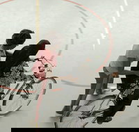 The Best of The Big Bike Film Night 2015-2019 - Lismore Accommodation