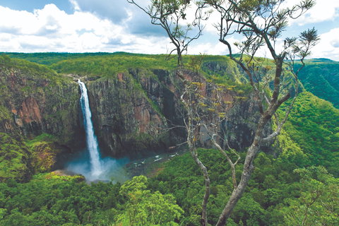 The Garden Clubs Of Australia Inc AGM And Biennial Convention 2021 - Lismore Accommodation 1