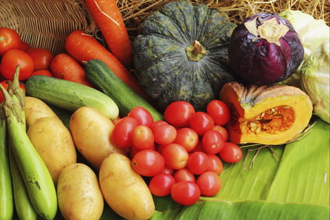 The Entrance Market - Lismore Accommodation 0