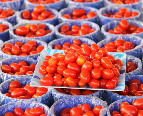 The Entrance Market - Lismore Accommodation 2