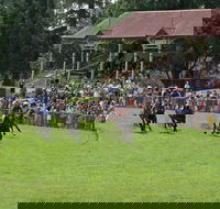 Tumut Boxing Day Races - Lismore Accommodation