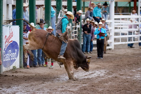 Warwick Rodeo National APRA National Finals And Warwick Gold Cup Campdraft - Lismore Accommodation 1