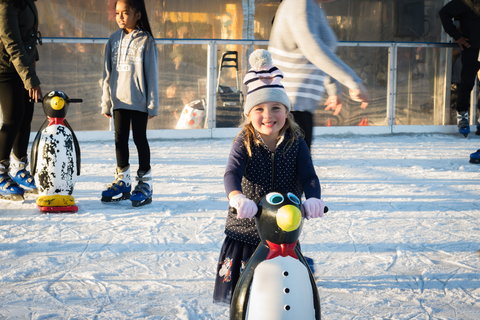 Winterland Festival - Lismore Accommodation 6