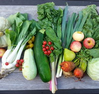 Wingham Farmers Market - Lismore Accommodation