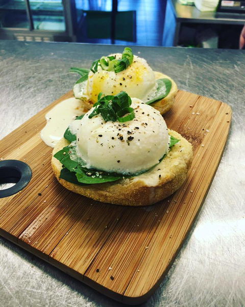 Bermagui Growers Market - Lismore Accommodation 4