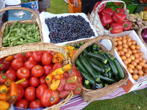 Armidale Farmers' Market - Lismore Accommodation 1