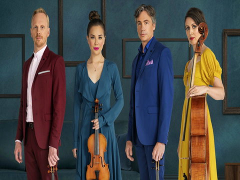 Australian String Quartet Dungog Weekend Of Music - Lismore Accommodation 0