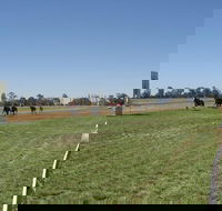 Balranald Races -Derby Day - Lismore Accommodation