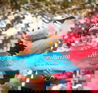 Beach House Hotel Hervey Bay 100 - Lismore Accommodation