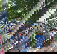 Bellingen Community Markets - Lismore Accommodation