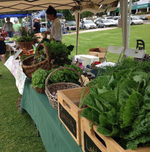 Bermagui Growers Market - Lismore Accommodation 5