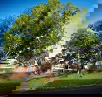 Big Bat Wildlife and Eco Festival - Lismore Accommodation