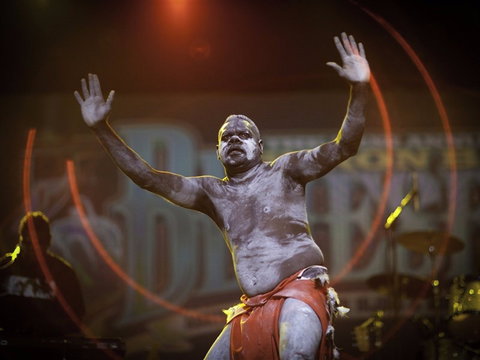 Bluesfest - Lismore Accommodation 2