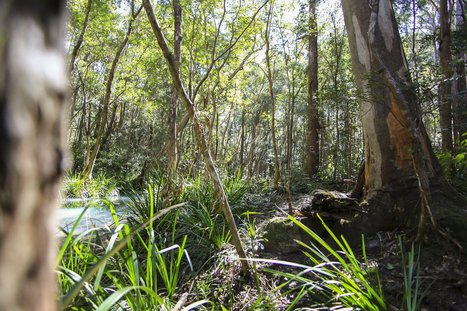 Cundle Flat NSW Lismore Accommodation