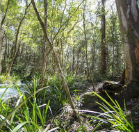 Bottlebutt Bash Trail Run - Lismore Accommodation