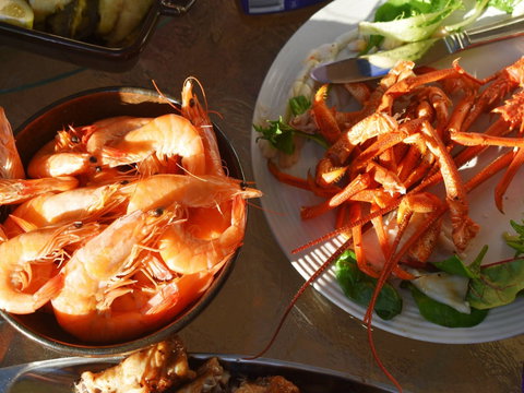 Cape Jaffa Food And Wine Festival - Lismore Accommodation 0