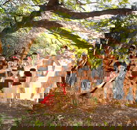 Cooktown and Cape York Expo 2021 - Lismore Accommodation