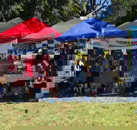 Dogs in the Park Shell Harbour - Lismore Accommodation