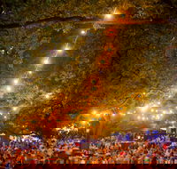 Festivale - Lismore Accommodation