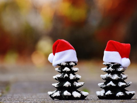 Glenmore Park Christmas Market - Lismore Accommodation 0