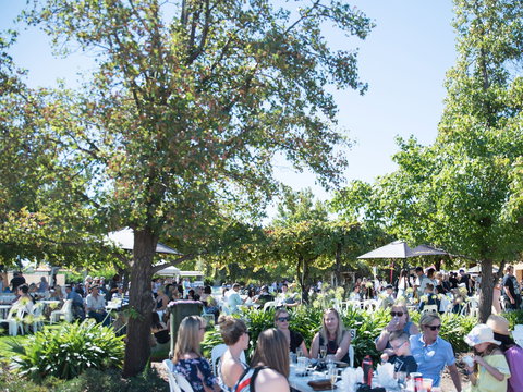 Griffith Vintage Festival - Lismore Accommodation 2