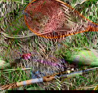 Guyra TroutFest - Lismore Accommodation