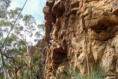 July 2020 Holidays- Explore & Climb - Lismore Accommodation 0