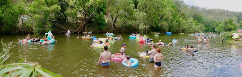 Jungle Love Festival - Lismore Accommodation 1