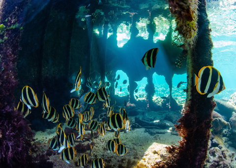 Landscape And Wildlife Photography Tour - Lismore Accommodation 1