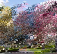Leura Gardens Festival - Cancelled - Lismore Accommodation