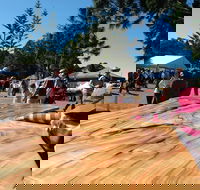 Maleny Wood Expo From Seed to Fine Furniture - Lismore Accommodation