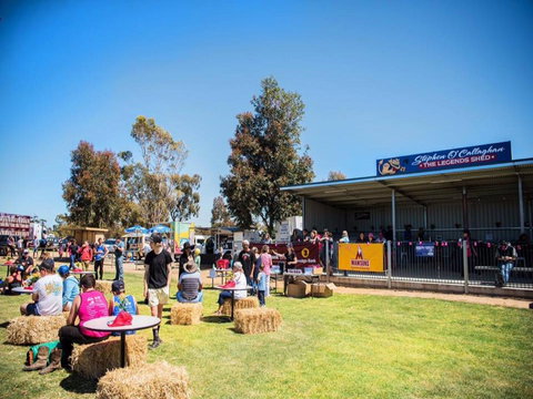 Mathoura Speed Shear And Annual Cancer Fundraiser - Lismore Accommodation 0