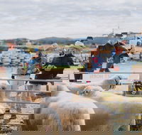 Mudgee Small Farm Field Days - Lismore Accommodation