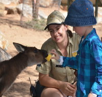 Mums and Cubs And Dads too - Lismore Accommodation