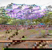 Mushroom Valley Festival