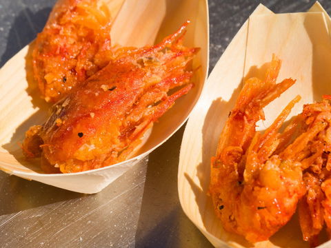 Ocean Harvest Festival - Lismore Accommodation 1