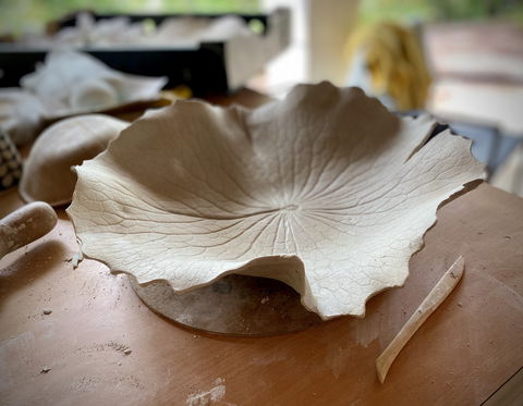 Online Live Streaming Class: DIY Clay Hand Building For Beginners - Lismore Accommodation 0