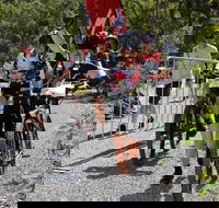 Paluma Push 2020 - Lismore Accommodation
