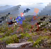Peaks and Trails Run - Lismore Accommodation