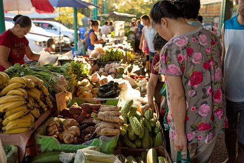 Rapid Creek Markets - Lismore Accommodation 1