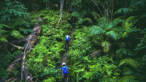 Reef To Reef - Lismore Accommodation 7