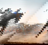 Rodeo by the Sea - Streaky Bay - Lismore Accommodation