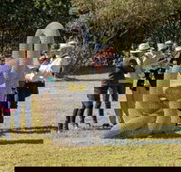 Sculpture for Clyde - Outdoor Exhibition - Lismore Accommodation