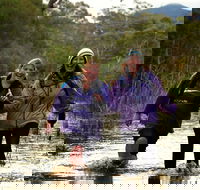 Serra Terror - Lismore Accommodation