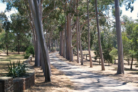 Sunday At Cruden Farm - Lismore Accommodation 1