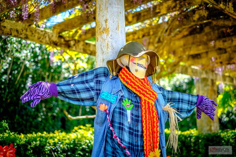 Tamborine Mountain Scarecrow Festival - Lismore Accommodation 1