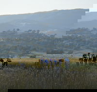 Tumut Cycle Classic - Lismore Accommodation